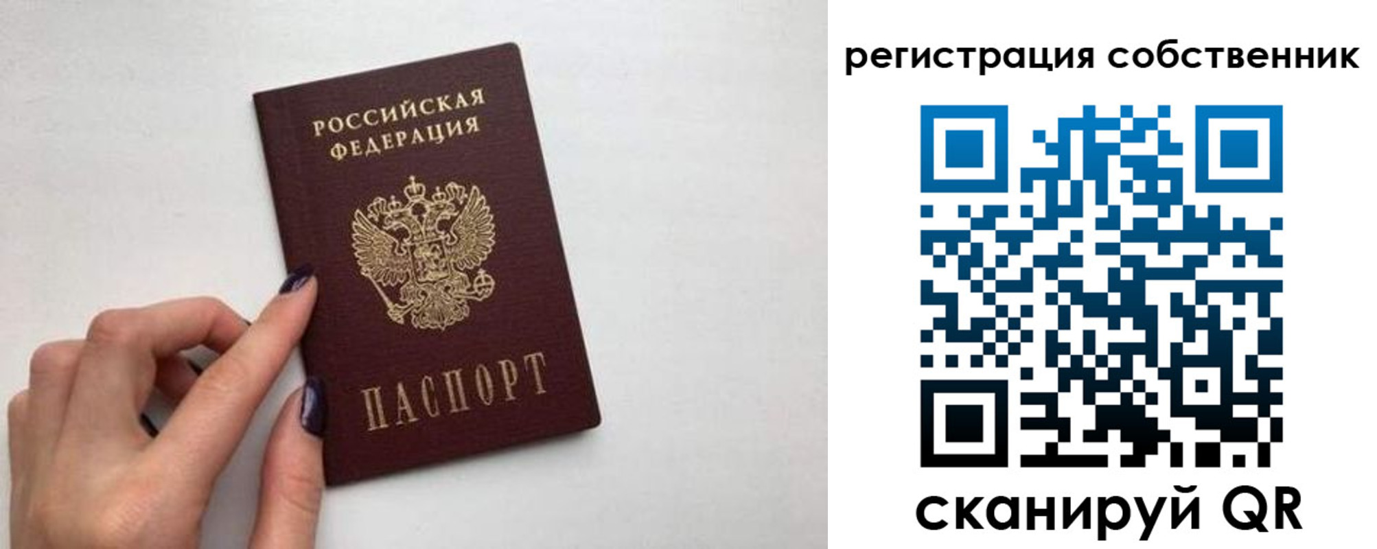 временная регистрация для всех в Ельне