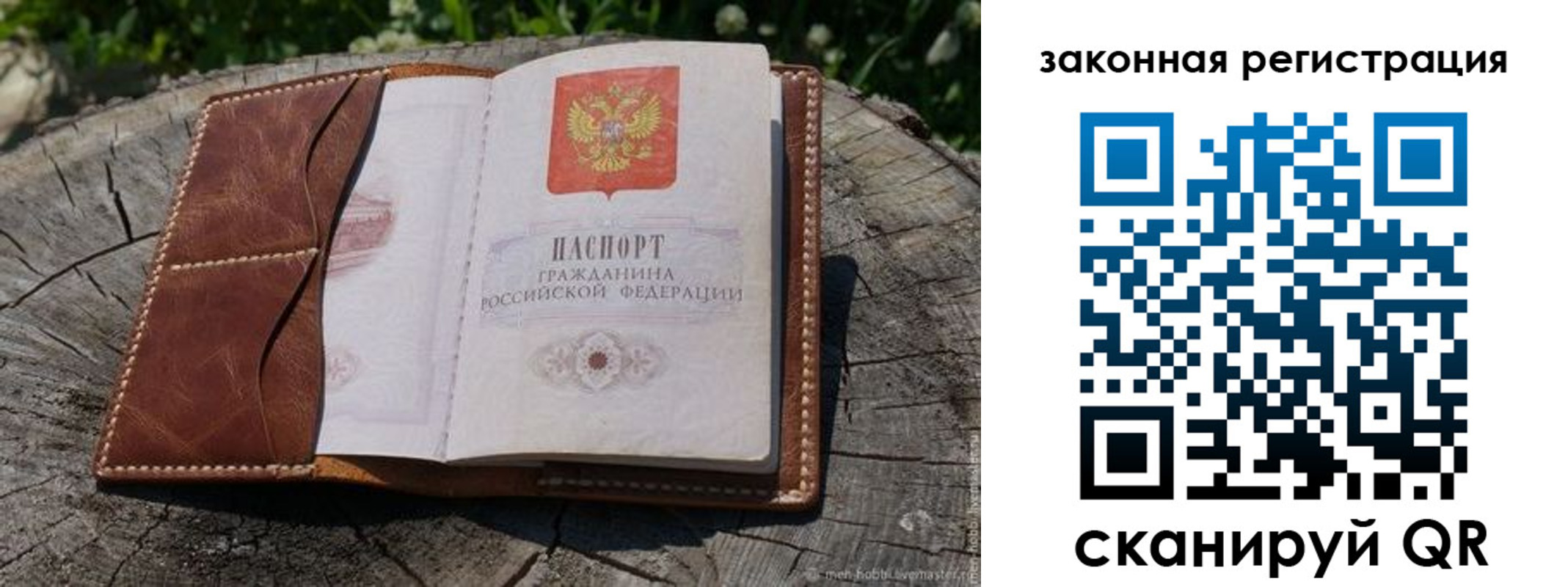 прописка в Ельне