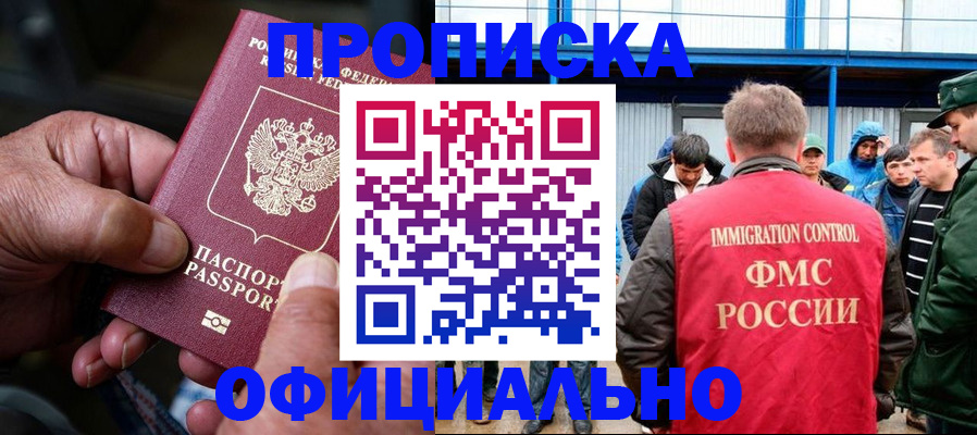 прописка в Ельне